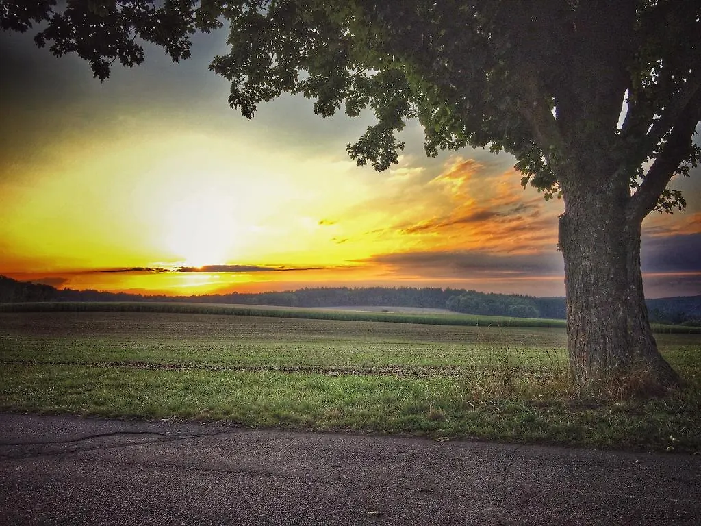 Pension Schenks Landgasthof Amorbach